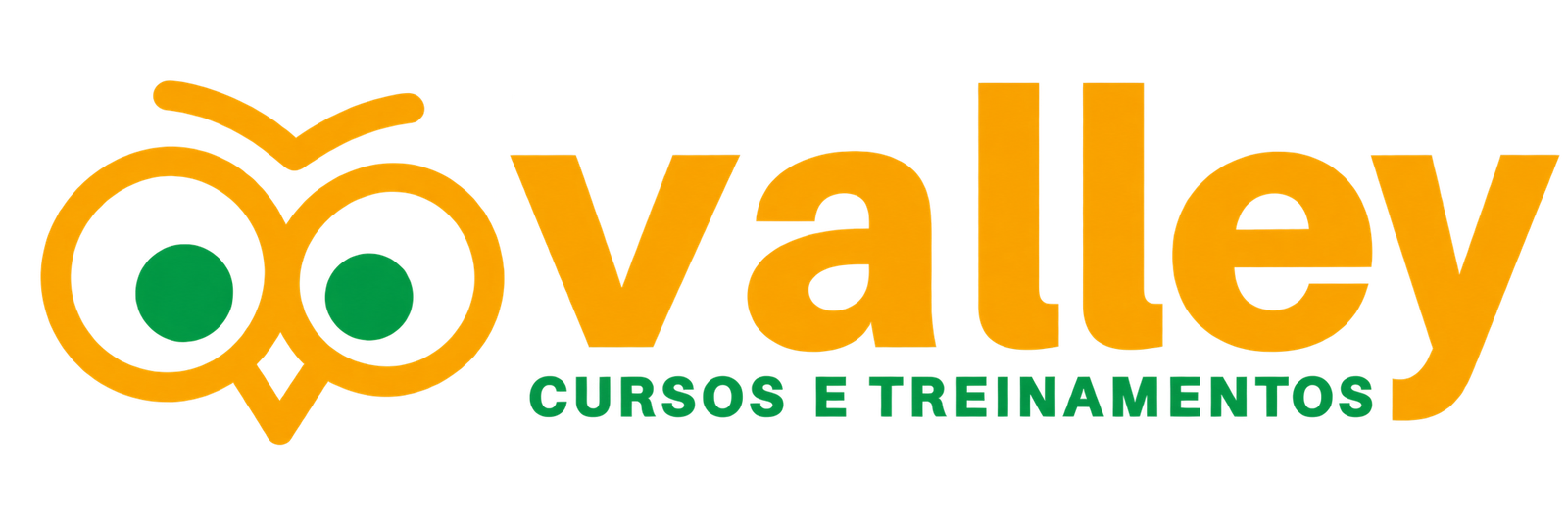 Blog Valley Cursos e Treinamentos